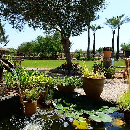 Agroturismo Finca Sant Blai Campos  Ngoại thất bức ảnh