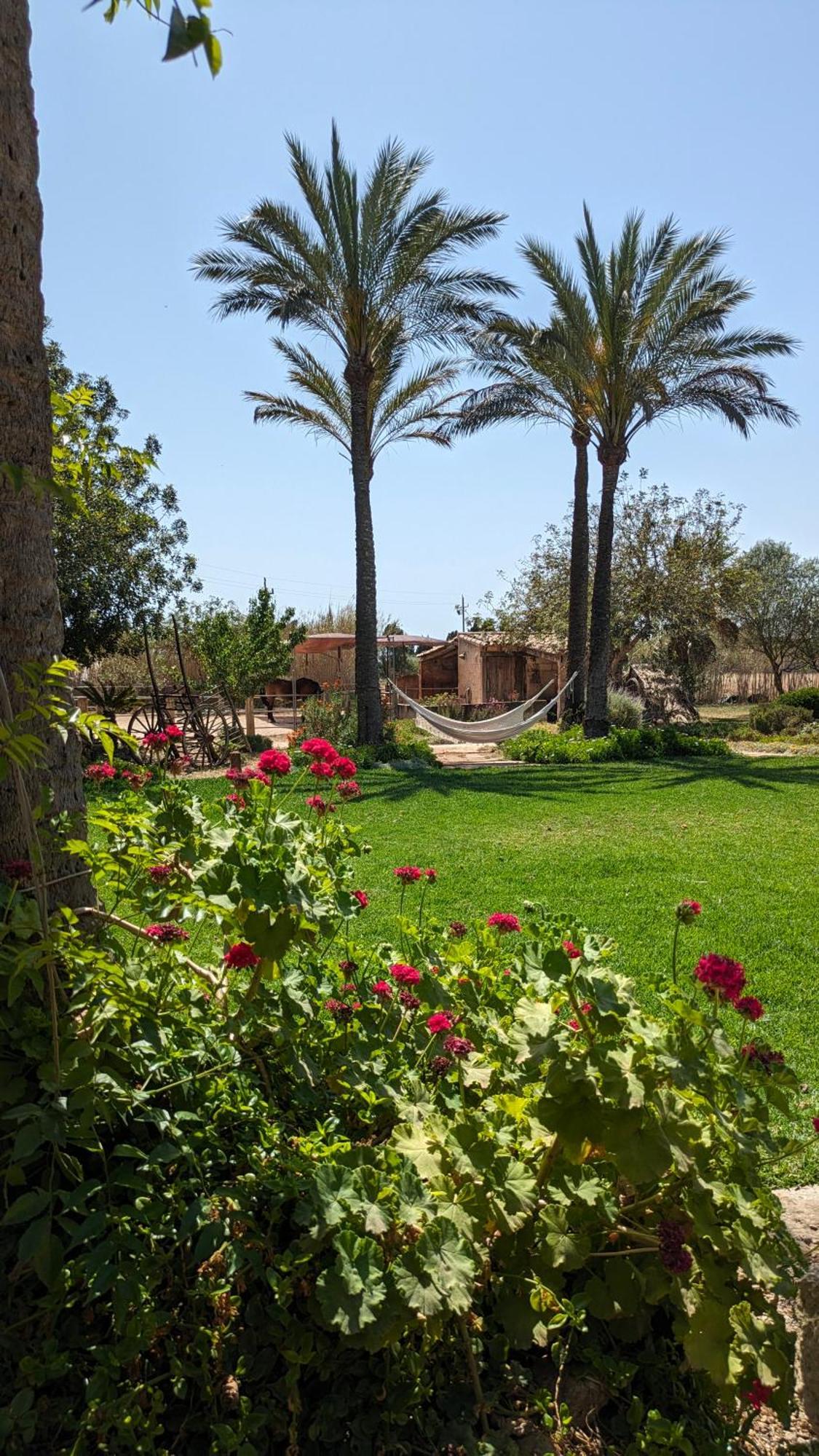 Agroturismo Finca Sant Blai Campos  Ngoại thất bức ảnh