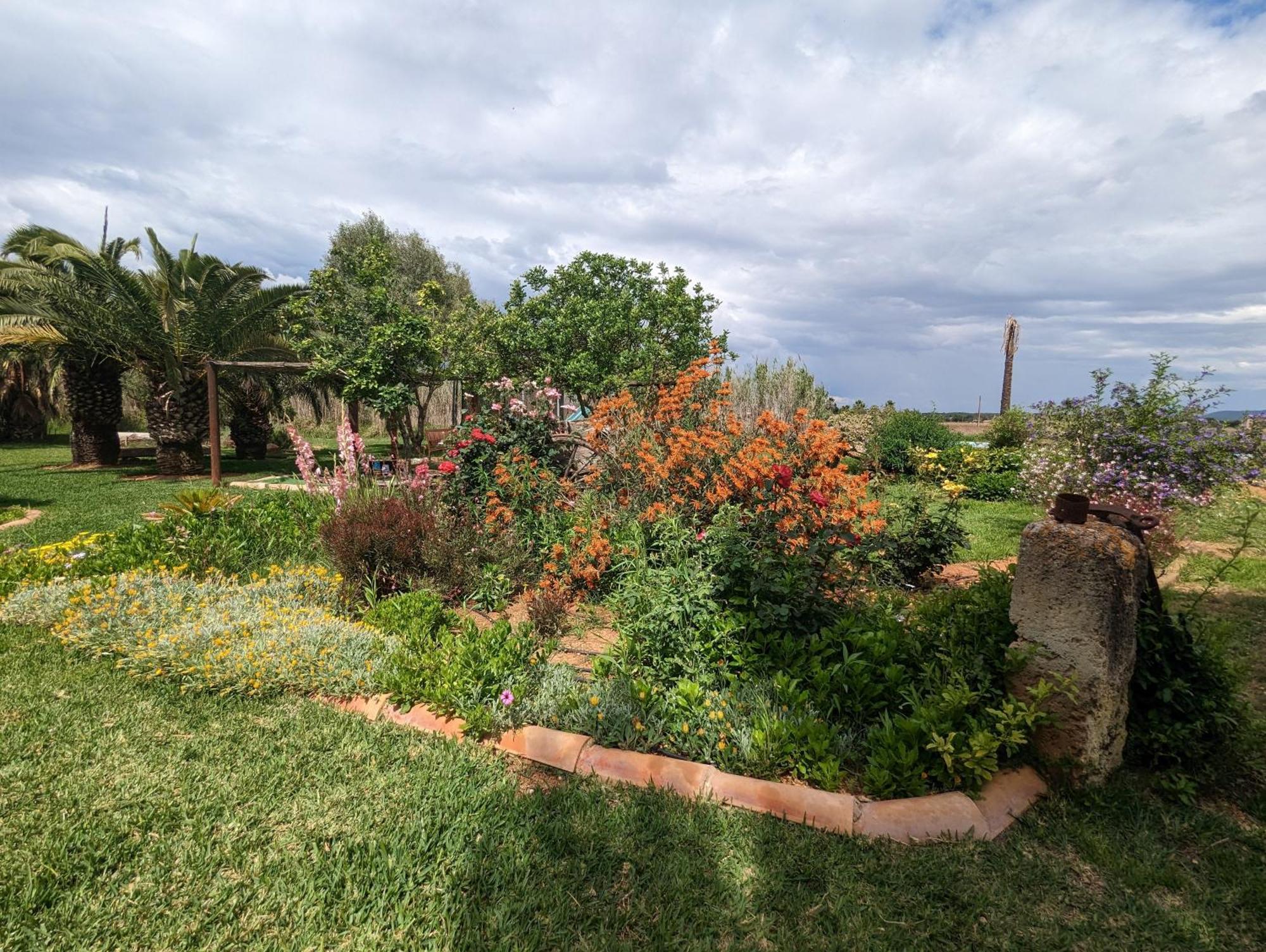 Agroturismo Finca Sant Blai Campos  Ngoại thất bức ảnh