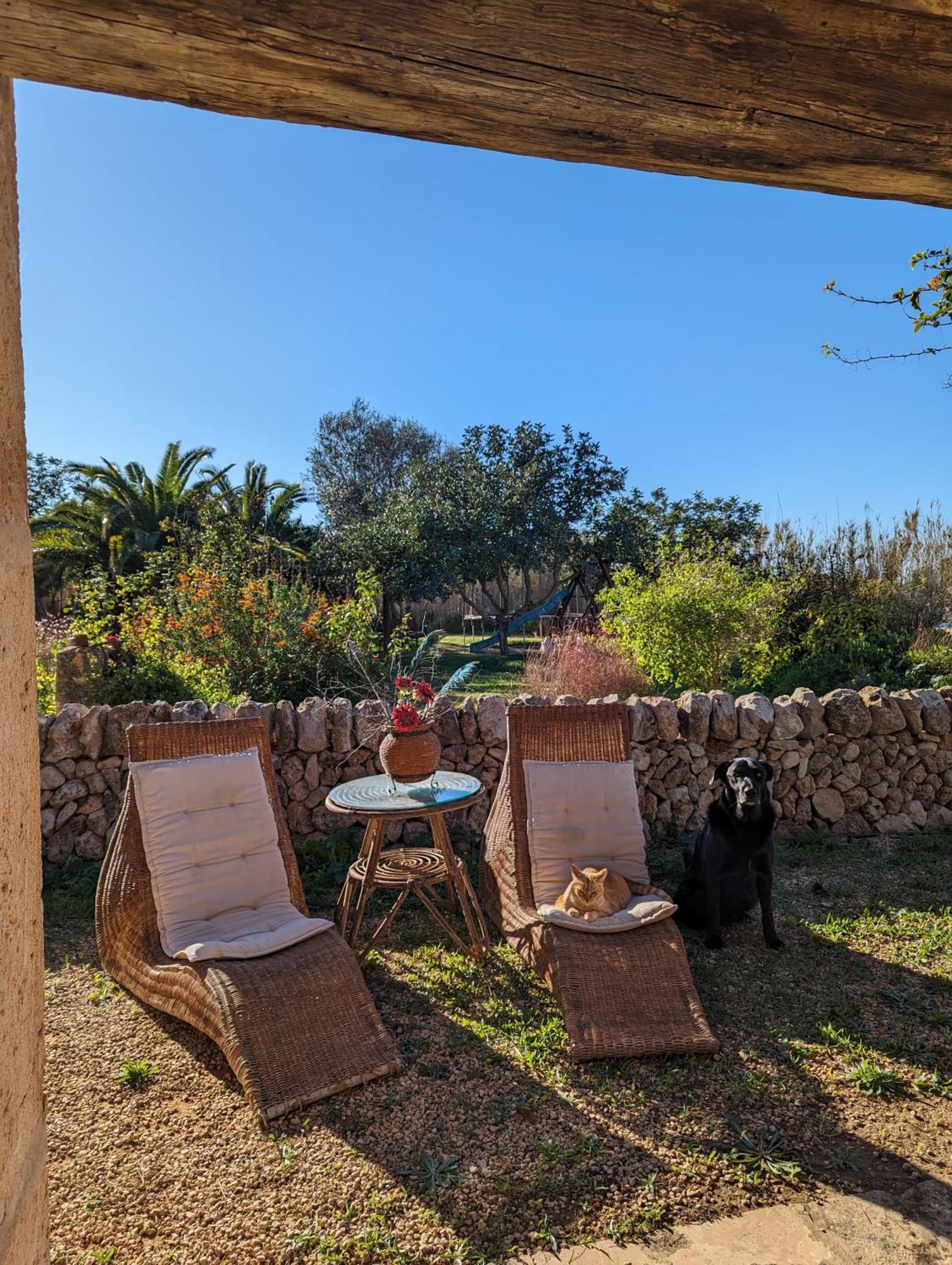 Agroturismo Finca Sant Blai Campos  Ngoại thất bức ảnh